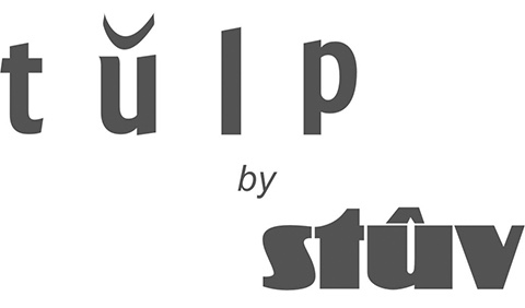 Tulp